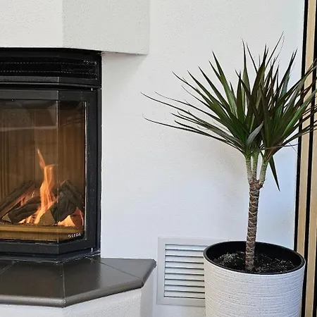 Elodia Luxus Apartment, Wlan, Terrasse, Kueche, Handtuecher * 하이덴하임안데어브렌츠